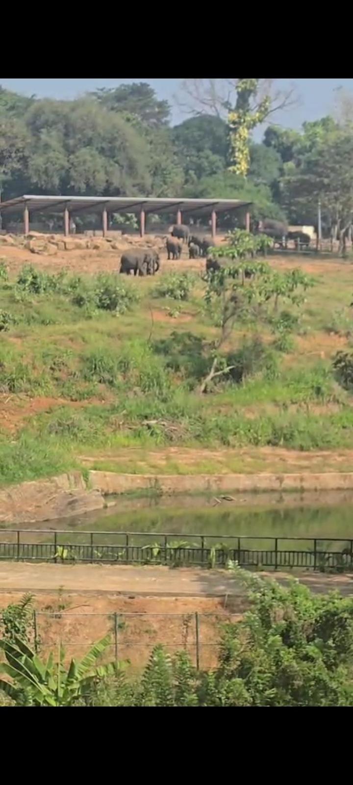 Pinnawala Elephant Front View Hotel Rambukkana Exterior foto